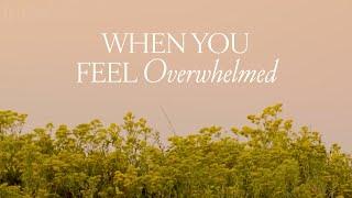 Scriptures for When You Feel Overwhelmed | Holly Furtick