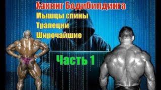 Как накачать мышцы спины. Лучшие упражнения. Техника. Часть 1. Хакинг Бодибилдинга