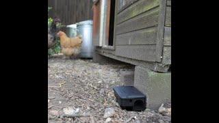 The Big Cheese Rat & Mouse Bait Station | Toolstation