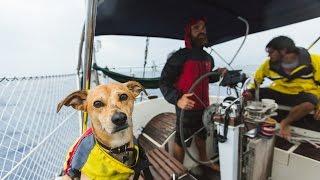 3 Guys and a Dog Sail to Belize (Sea Change - Chapter 1)