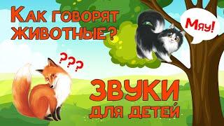 Животные для Детей + Учим Животных + Как говорят Животные + Звуки и Голоса Животных