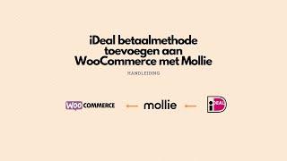 Ideal betaalmethode toevoegen aan WordPress WooCommerce website met Mollie