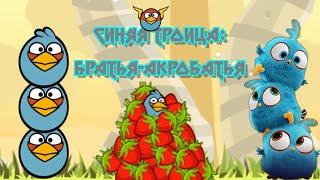 Всё о Синей Троице: характер, способности, появление — Факты Angry Birds