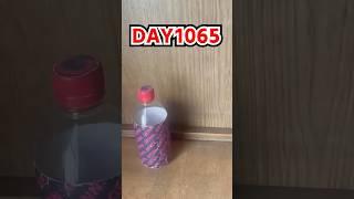 Daily Bottle Flip Challenge day 1065 | GENN.