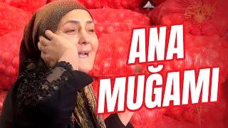 Kartof təmizləyən xaladan möhtəşəm ifa - Ana Muğamı / Elnarə Vahidova #ana