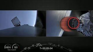 Rats Hitch A Ride On SpaceX Rocket!