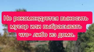 8 ноября 2024, Дмитриев день, церковный календарь, народные приметы, лунный календарь #праздник