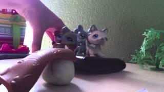 LPS Alpha and Omega part 1