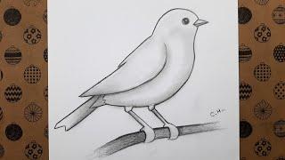 How to Draw Bird, Step by Step Bird Drawing