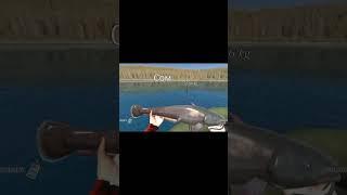 Реально ОГРОМНЫЙ сом! #рыбалкасмекалка #fishingsimulator #рыбалка #сом