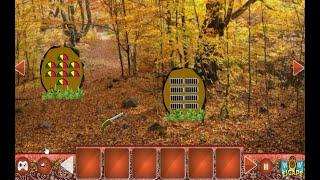 Tropical Deciduous Forest Escape walkthrough Wowescape.