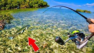 Ce poisson exotique spécial est presque impossible a pêcher !! (Pêche en Guadeloupe)