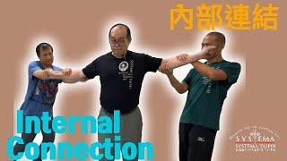 西斯特瑪：內部連結 Systema:Internal connection