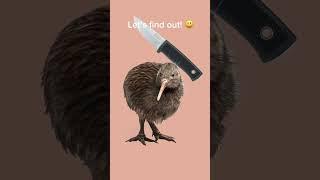 Cutting a kiwi in half!  #shorts #animation #toonsquid #meme #experiment #funny #fake