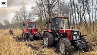 Power and Precision: Belarus Tractor MTZ Unveiled