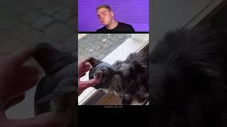 Try Not To Laugh  635 #funny  #viralvideo #shorts