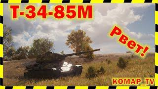 [World of Tanks] Скотина-мразь-стОтюга на Т-34-85М.