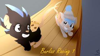 Burlas Racing 1 / Transformice