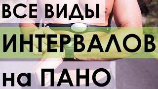 Все про интервалы на ПАНО. Виды, количество, по пульсу или темпу, отдых, когда делать