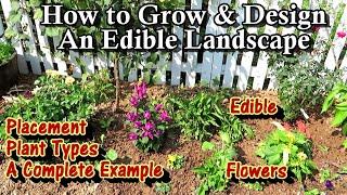 Planting & Design Principles for an Edible Landscape: Fruit Trees, Berries, Greens & Edible Flowers