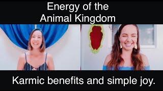 Energy of the Animal Kingdom. Karmic benefits and simple joy. Spiritual channel