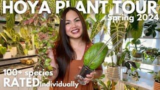 Ultimate Hoya Plant Collection Tour 2024: Rating 116 Varieties from 5 to 1 Stars!