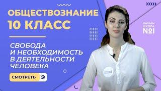 Свобода и необходимость в деятельности человека. Видеоурок 6. Обществознание  10 класс