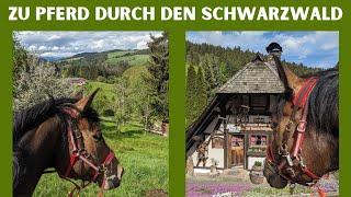 Wanderritt Doku | Zu Pferd durch den Schwarzwald | Wanderreiten