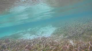 Clear water of Escudo De Veraguas, Panama
