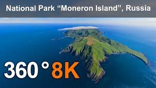 National Park Moneron Island. 8K 360° virtual travel.