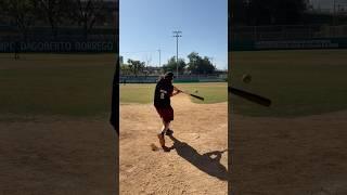 DINGERS ️! #mlb #baseball #baseballlife #baseballplayer #homerun #dingers #blitzball