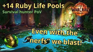 +14 Ruby life pools | Survival hunter PoV | Pre-patch for the war within | World of warcraft