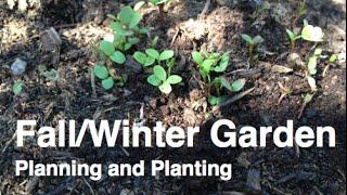 Planning and Planting Fall and Winter Crops in the Alberta Urban Garden