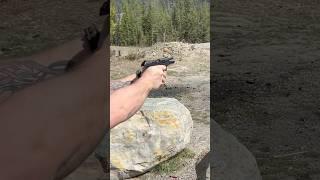 Ruger Security 9 Pro