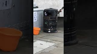 Busker sings in bin