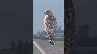 I was being watched like a hawk
