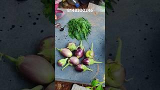 Today's Harvest in my organic garden. #sale #garden #subscribe #plants #shorts #short.