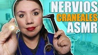 The ASMR Cranial Nerve Exam