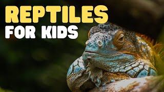 Reptiles for Kids | What is a reptile? Learn all about reptiles and their characteristics