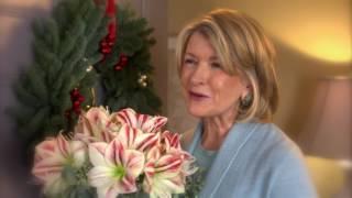 1800Flowers.com Martha Stewart