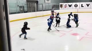 PIA U8 - ???, 2024 - TIGERS (Alex #62) against FALCONS (??? - ?G)
