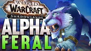 Feral Druid First Look! WoW Shadowlands Alpha!