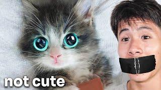 Try NOT To Say "AWW" Challenge (Impossible)