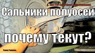 ПОЧЕМУ ТЕКУТ САЛЬНИКИ ПОЛУОСИ.