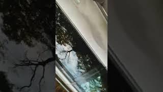 Как легко сделать эффектный ролик #смирупонитке #shorts