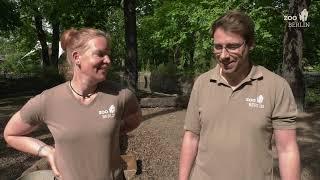 Zoo Berlin sucht Tierpfleger!