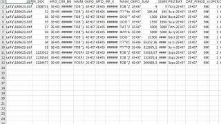 DBF to XLS (Excel sheet)