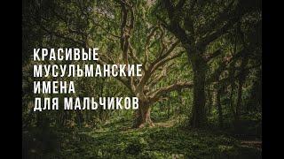 КРАСИВЫЕ МУСУЛЬМАНСКИЕ МУЖСКИЕ ИМЕНА / КАК НАЗВАТЬ СЫНА