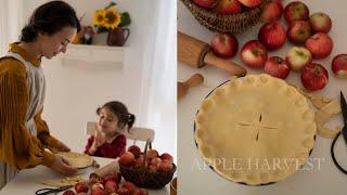 Apple Harvest, baking Apple Pie  Slow living lifestyle | Little Women Atelier