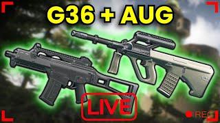 G36 & Aug Testing! --- || [PvP] Escape From Tarkov Livestream